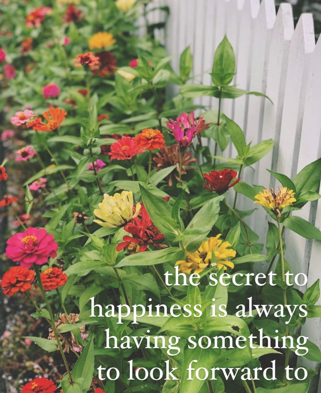 The Happiness Quote that Completely Rings True for&nbsp;Me