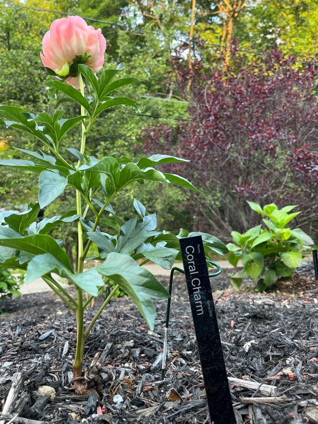 The Statistic that Made Me Rethink My Relationship with&nbsp;Nature