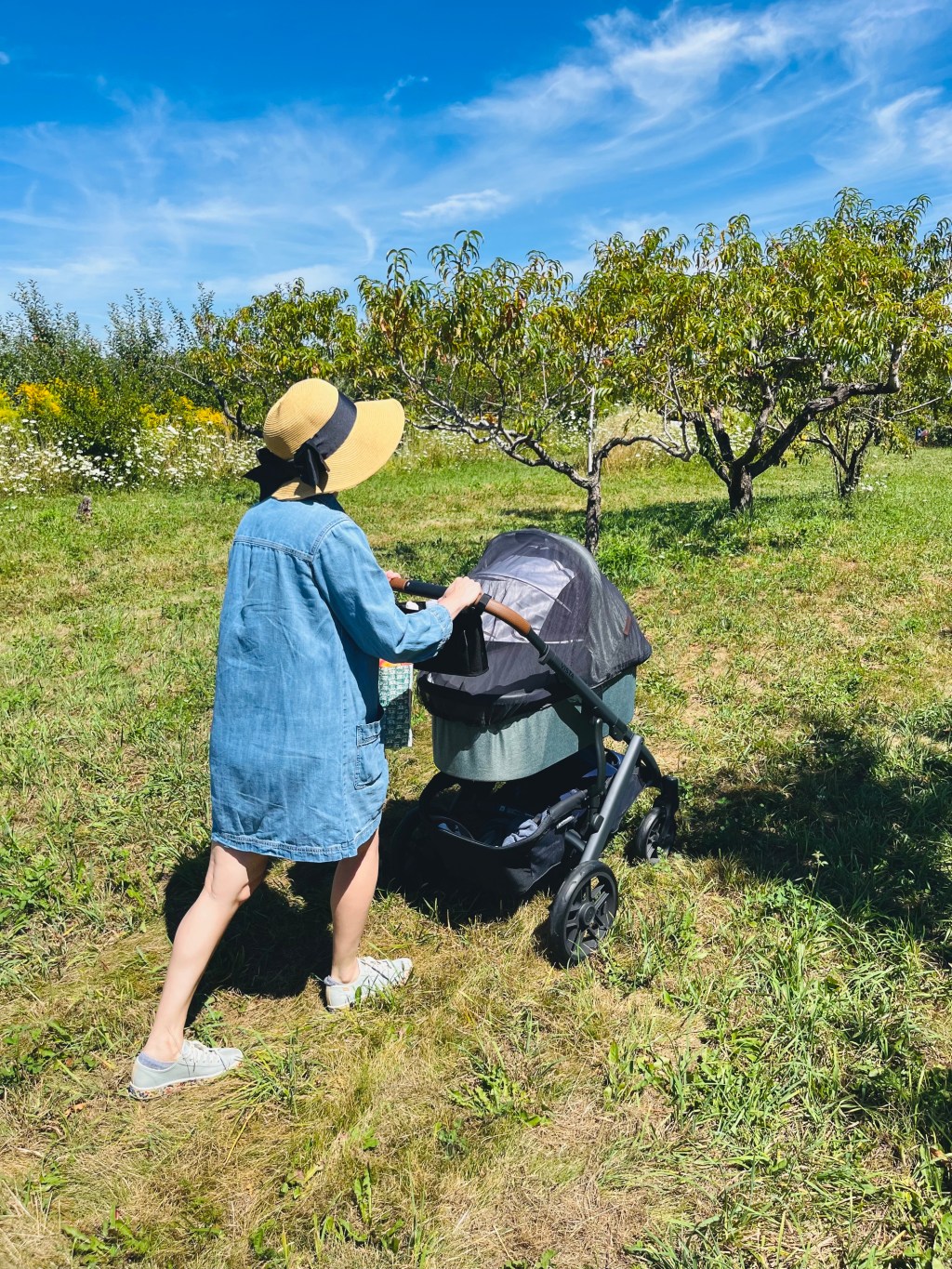 Infant-Friendly Boston-Area Adventures for Parental&nbsp;Leave