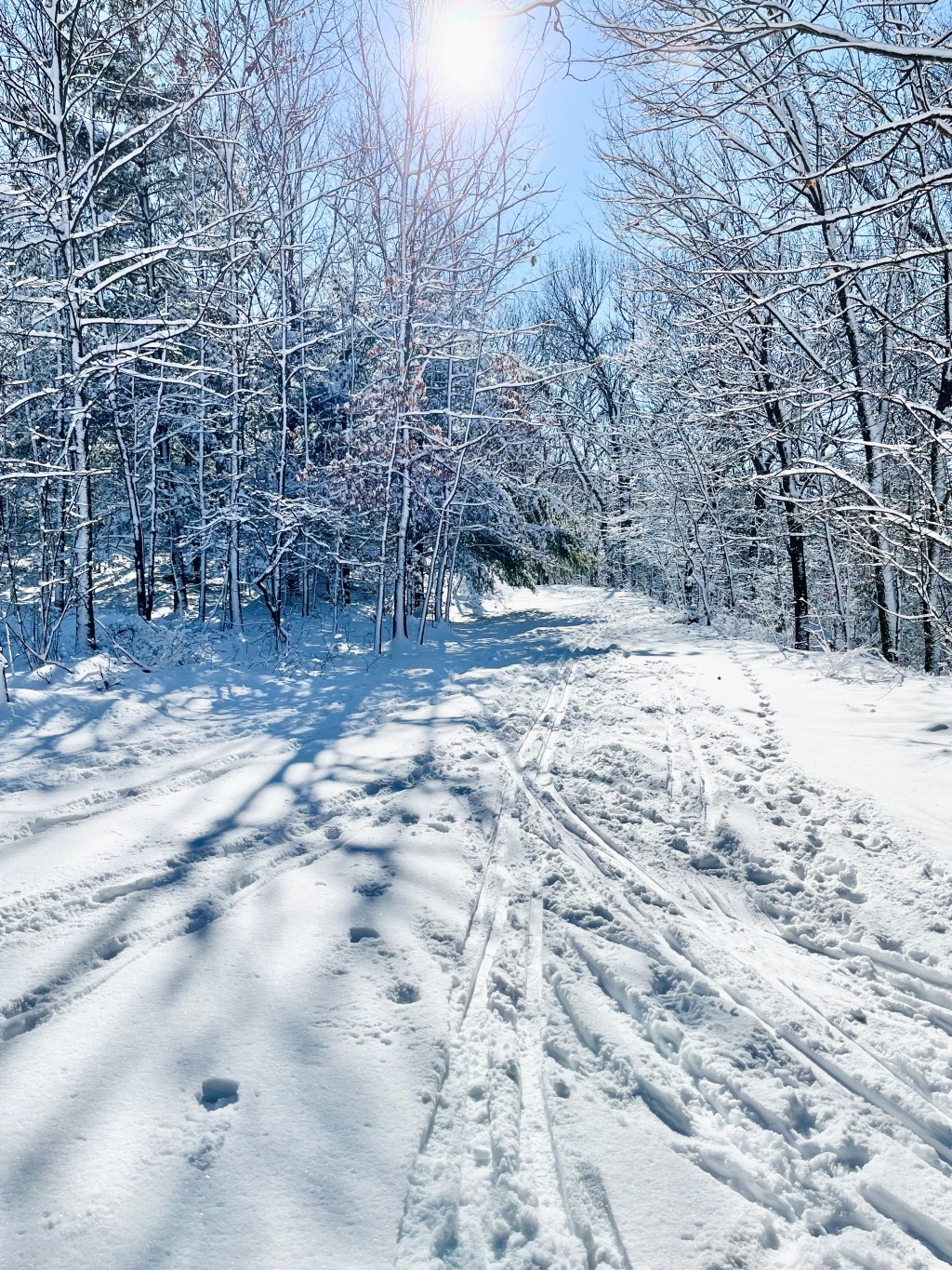 Intentions and Inspirations