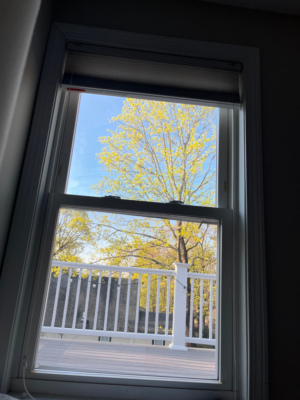 Waking with Nature